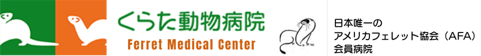 くらた動物病院フェレットメディカルセンター